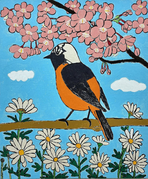ジョウビタキと河津桜とデイジー